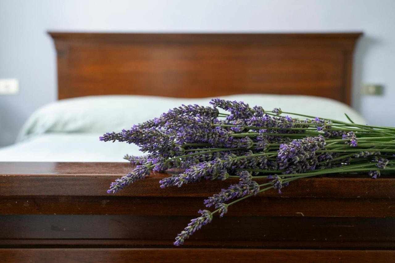 Casalzuigno Lago Maggiore A 10 Minuti "Cascina Lavanda" מראה חיצוני תמונה
