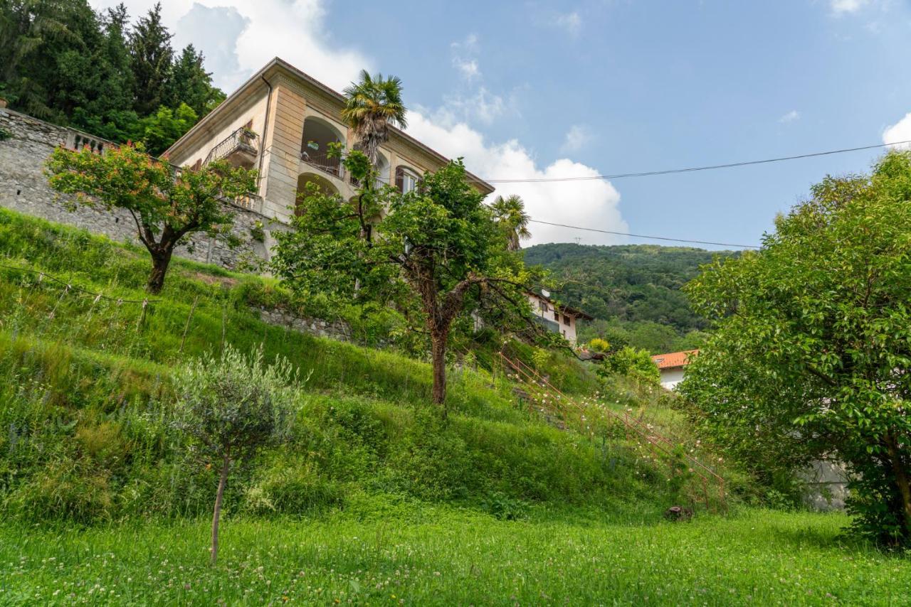 Casalzuigno Lago Maggiore A 10 Minuti "Cascina Lavanda" מראה חיצוני תמונה